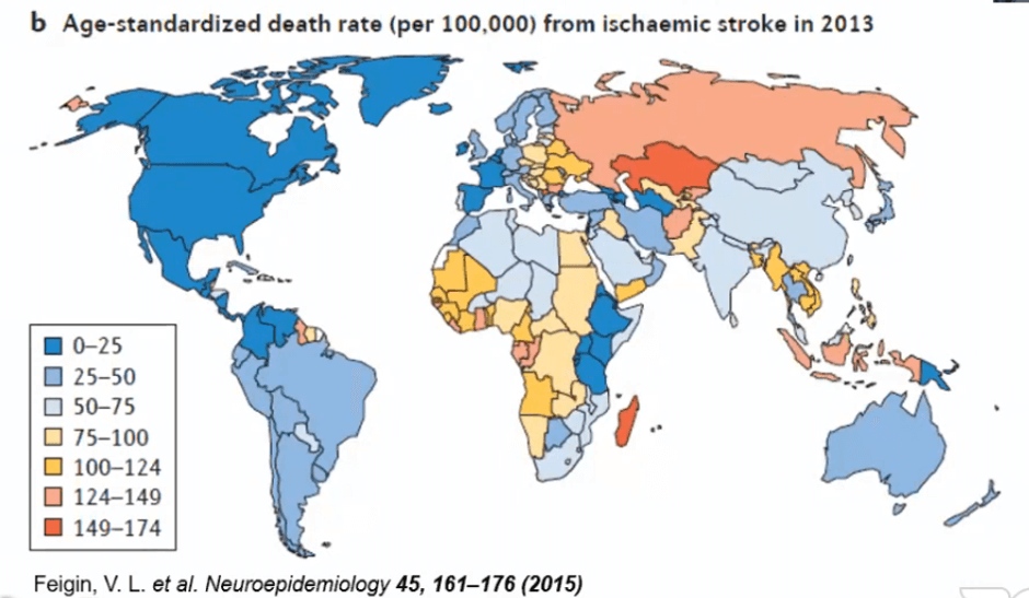 Gambar 14. Mortalitas Stroke Iskemik Akut di Seluruh Dunia