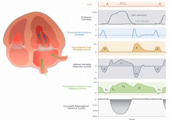 Gambar 36. Cardiac Cycle Physiology